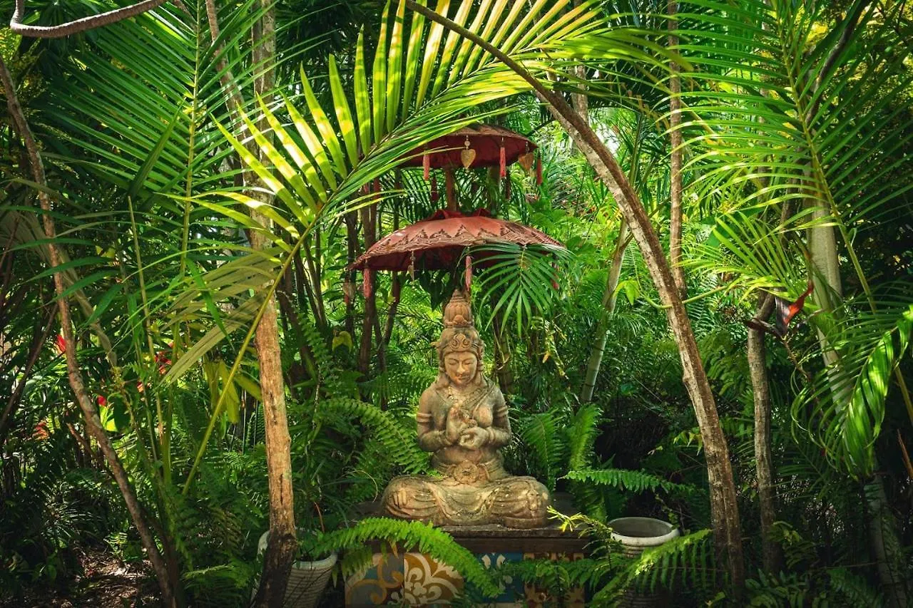 Tropic Days Boutique Hostel Cairns