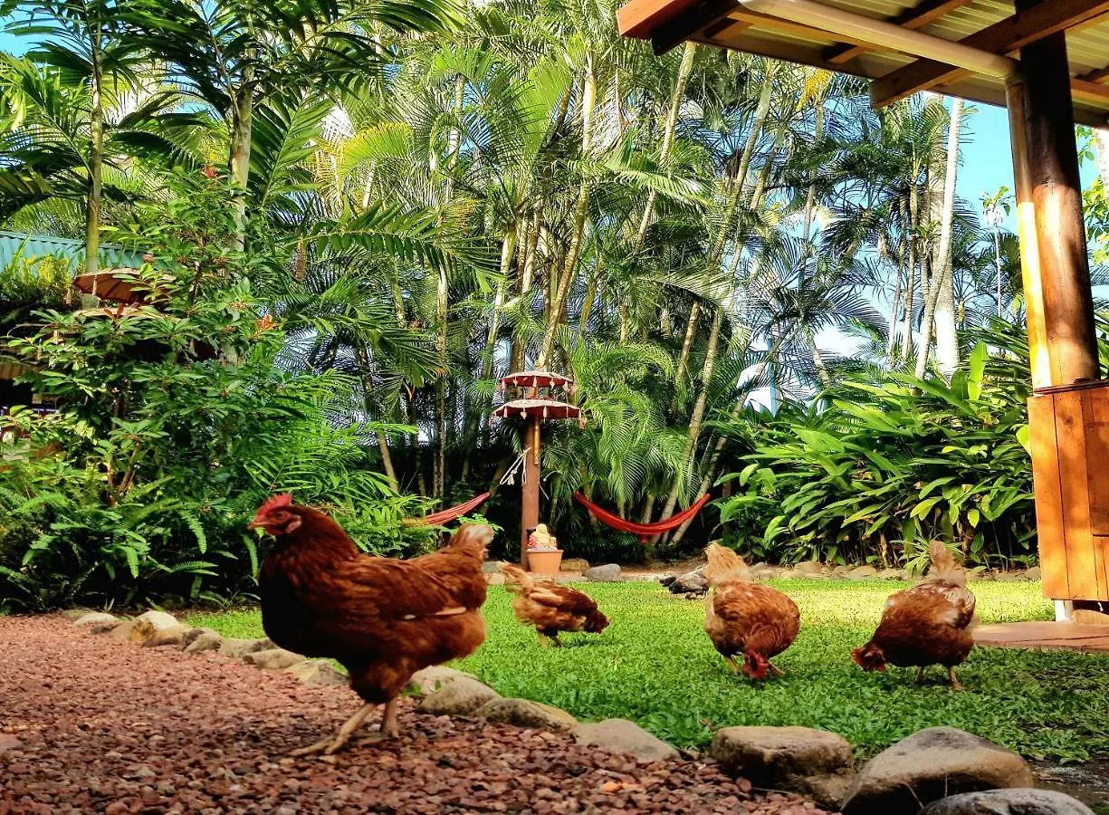 Tropic Days Boutique Hostel Cairns